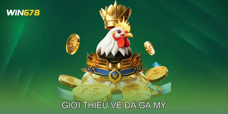 Giới thiệu về Đá Gà Mỹ