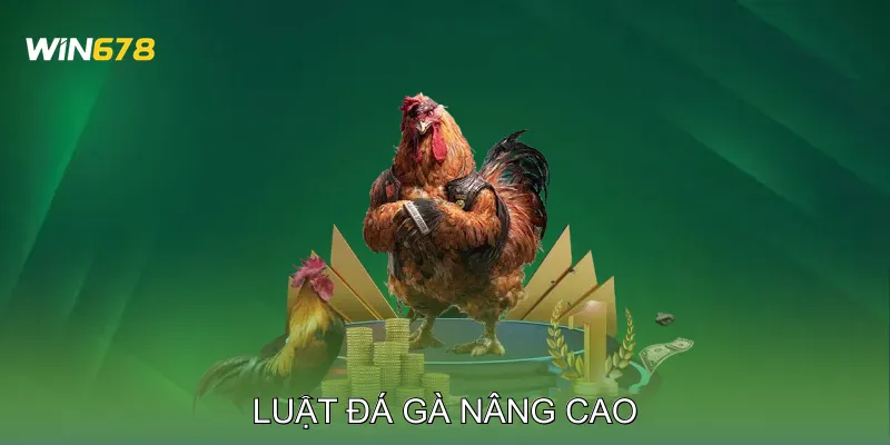 Luật Đá Gà Nâng Cao